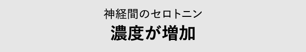 神経間のセロトニン 濃度が増加