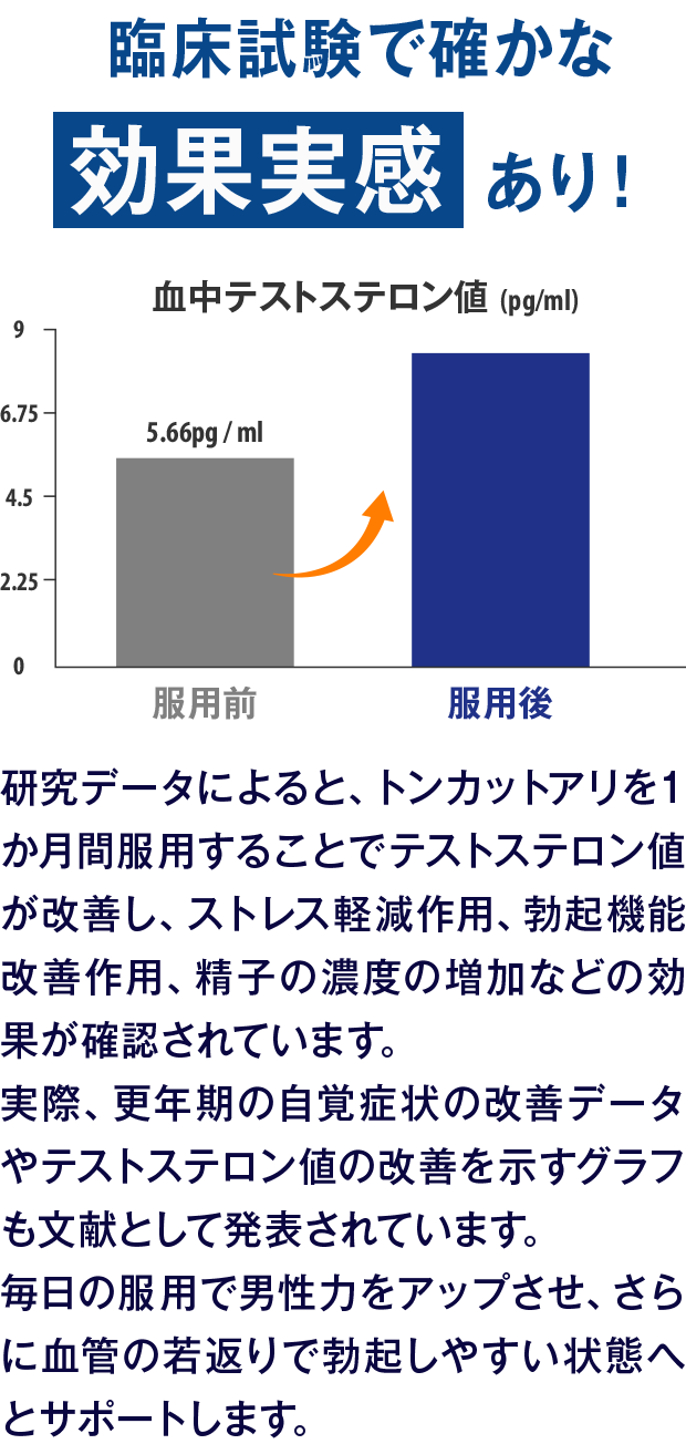【臨床試験で確かな効果実感あり!!】研究データによると、トンカットアリを1か月間服用することでテストステロン値が改善し、ストレス軽減作用、勃起機能改善作用、精子の濃度の増加などの効果が確認されています。実際、更年期の自覚症状の改善データやテストステロン値の改善を示すグラフも文献として発表されています。毎日の服用で男性力をアップさせ、さらに血管の若返りで勃起しやすい状態へとサポートします。