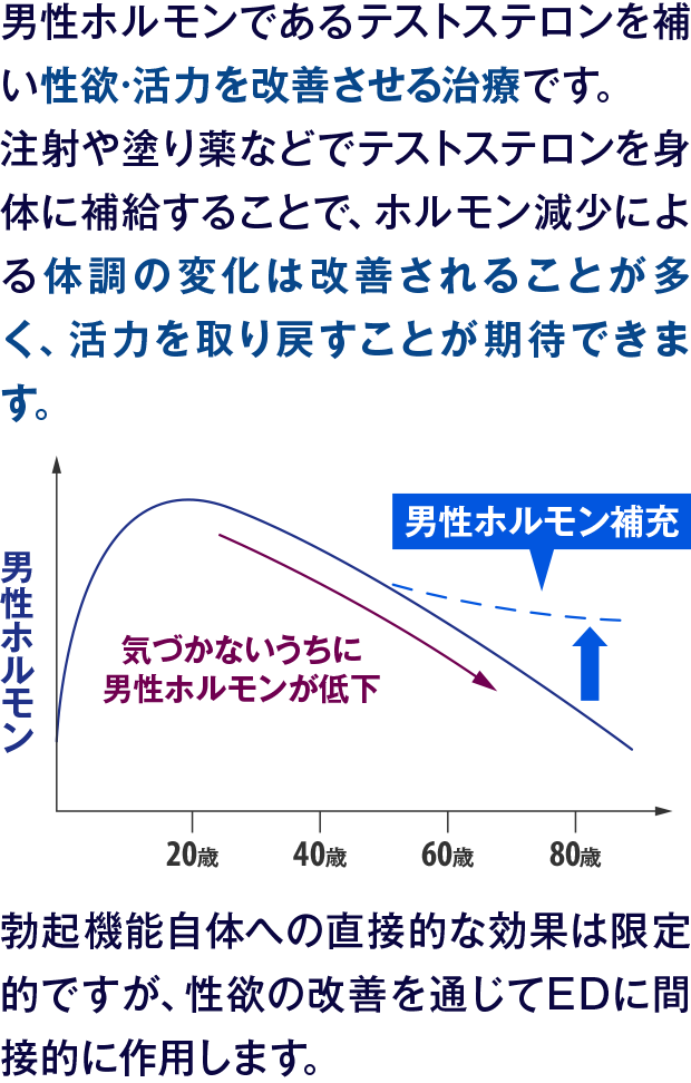 男性ホルモンであるテストステロンを補い性欲·活力を改善させる治療です。注射や塗り薬などでテストステロンを身体に補給することで、ホルモン減少による体調の変化は改善されることが多く、活力を取り戻すことが期待できます。勃起機能自体への直接的な効果は限定的ですが、性欲の改善を通じてEDに間接的に作用します。