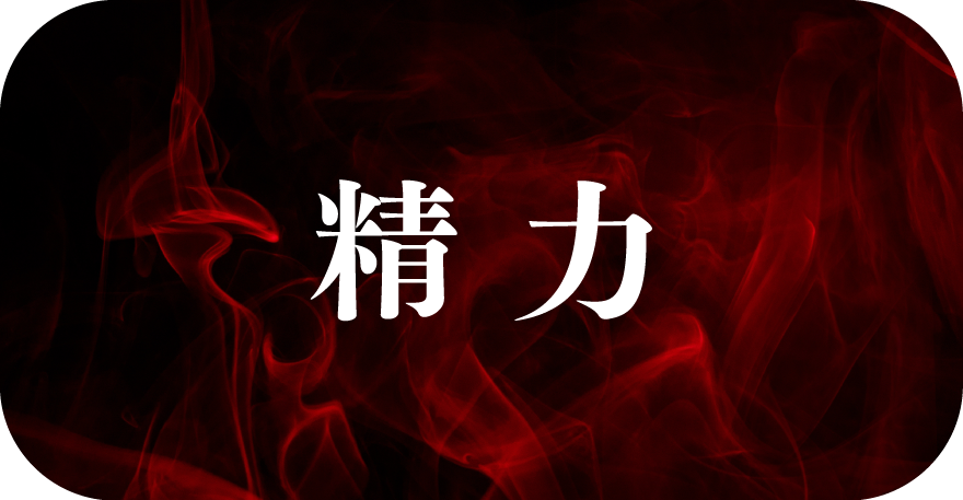 精力