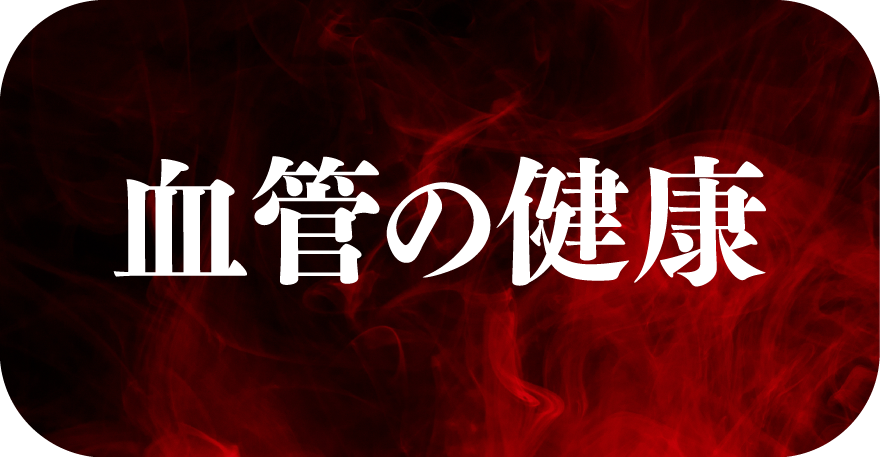 血管の健康