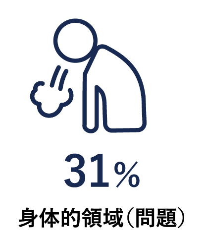 31% 身体的領域（問題）