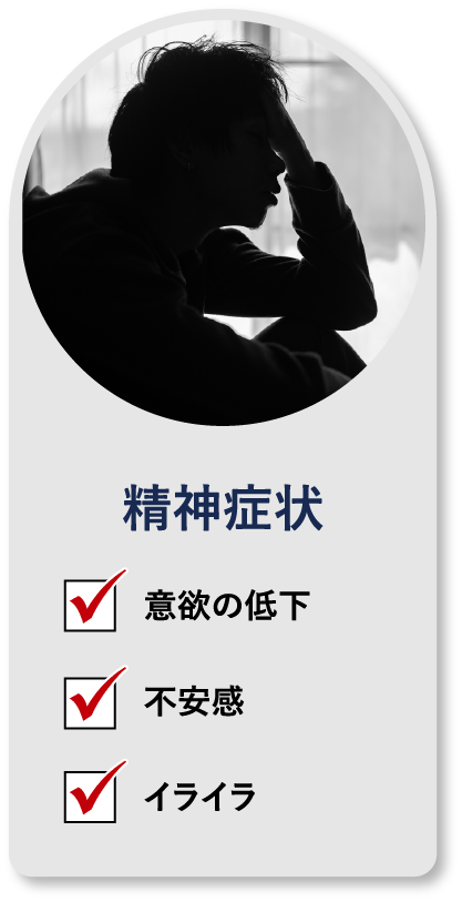 精神症状 意欲の低下 不安感 イライラ