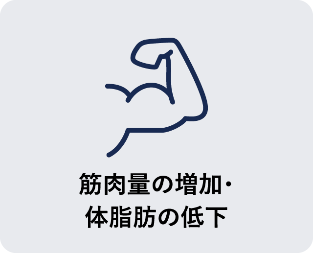 筋肉量の増加・体脂肪の低下