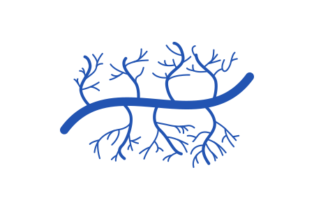 継続治療で血流改善