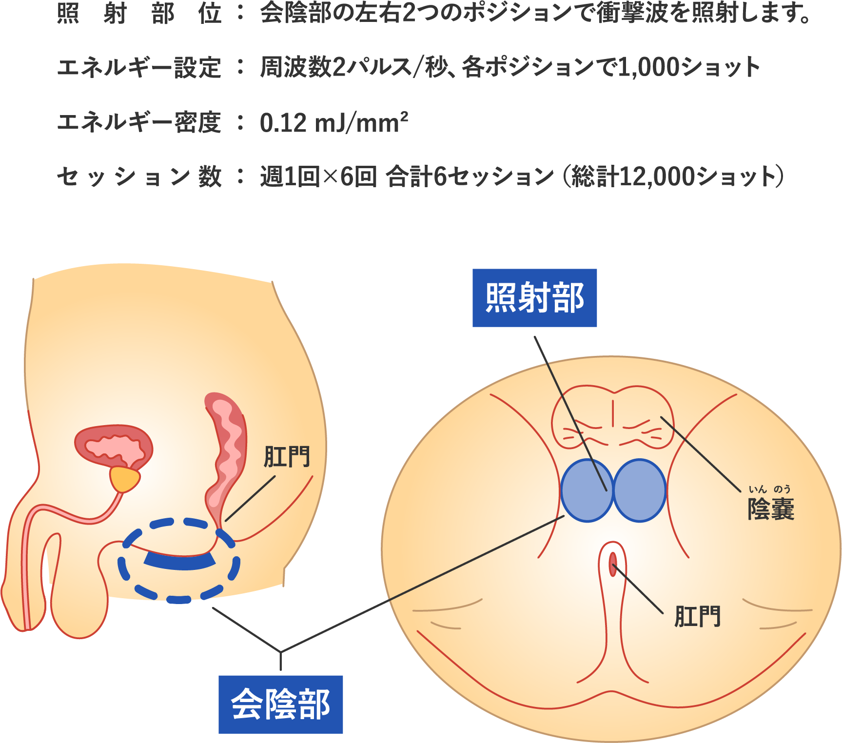 モアノヴァ治療のメカニズム