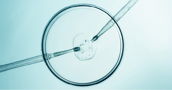 Dクリニックドクター陣