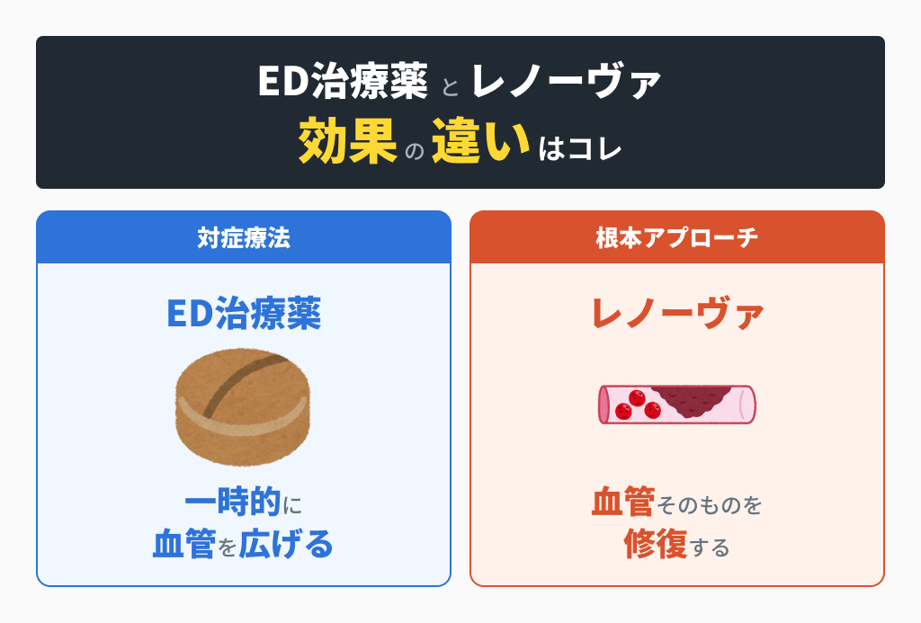 レノーヴァの仕組み：血管新生因子で血管そのものを作り直す