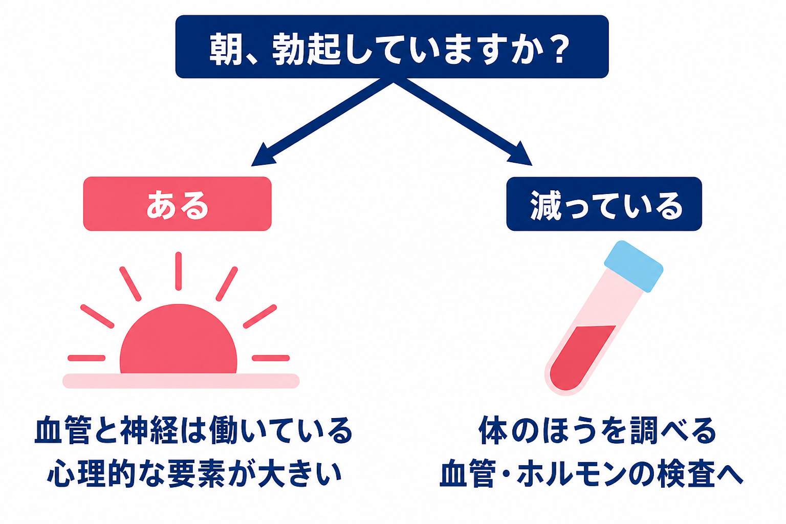 朝の勃起があるなら血管と神経は働いていて心理的な要素が大きく、減っているなら体のほうを調べて血管・ホルモンの検査へ進む、という分かれ方を示した図