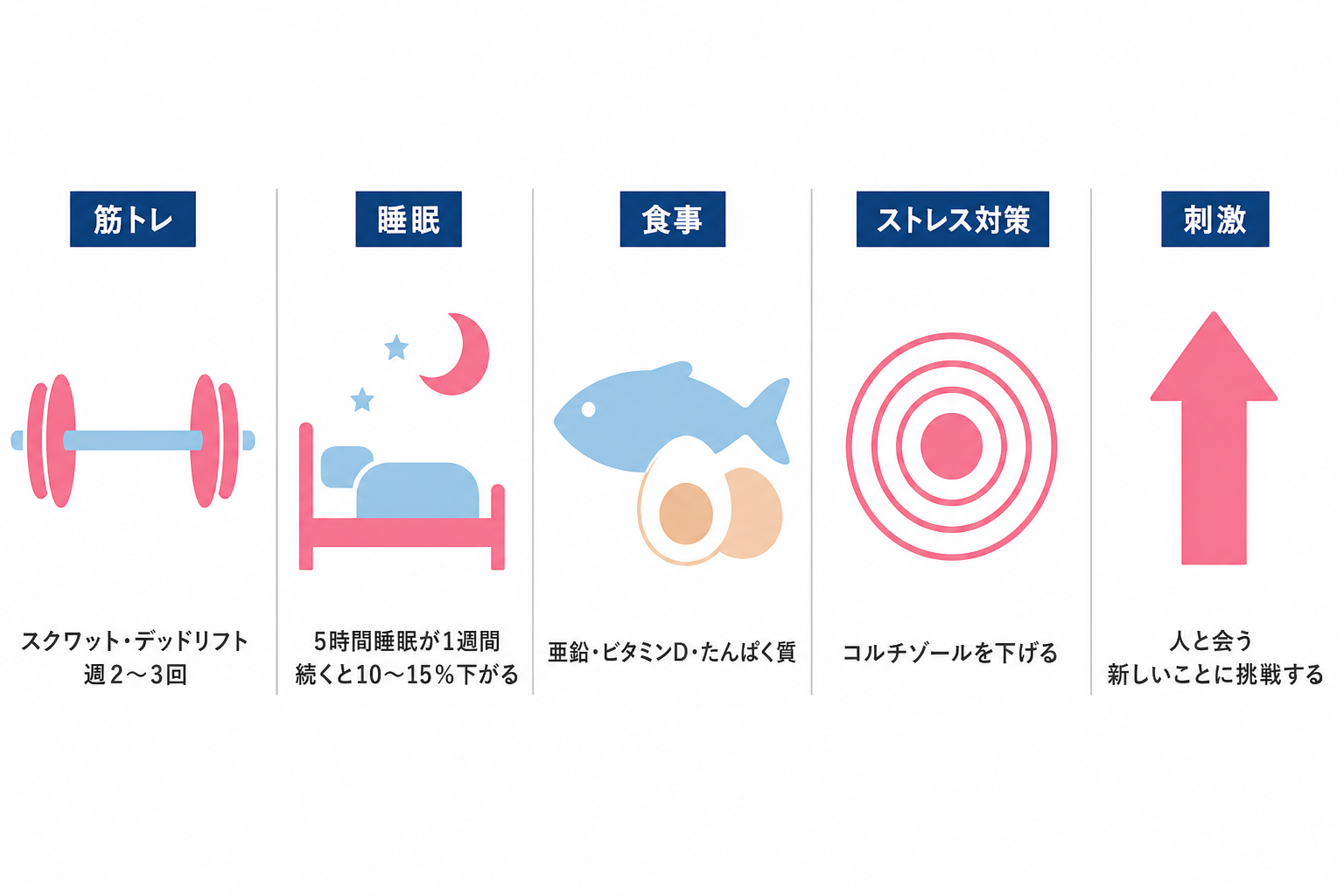 自分でテストステロンを底上げする5つの方法。筋トレ・睡眠・食事・ストレス対策・刺激