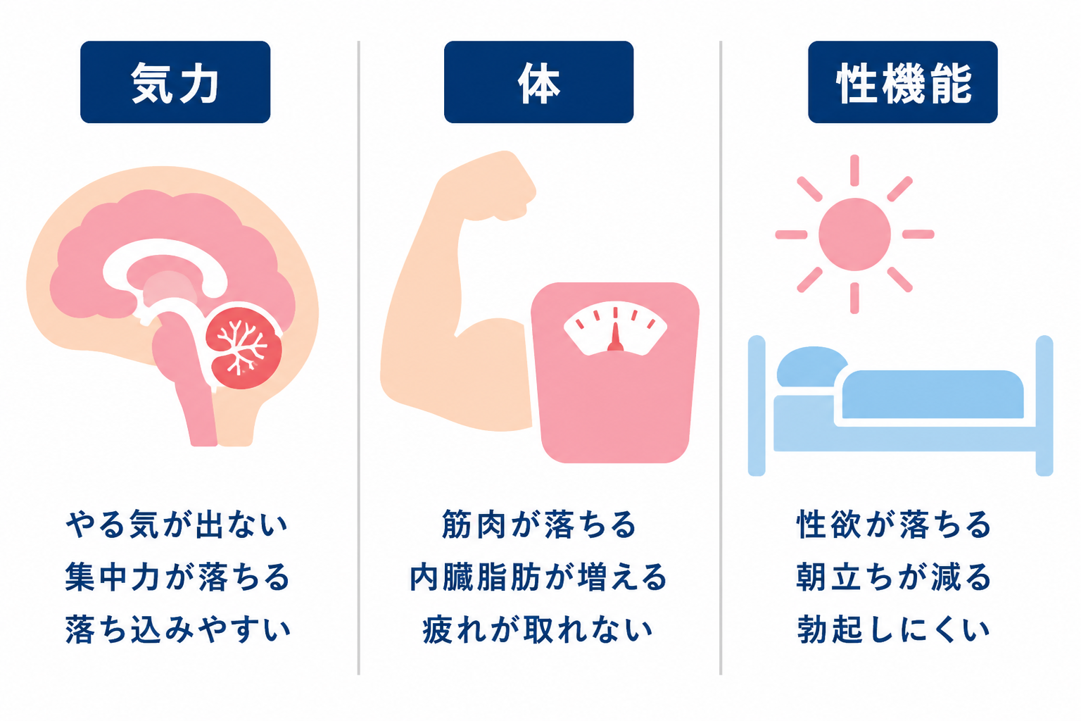 テストステロンが減ると出る変化。気力はやる気が出ない・集中力が落ちる・落ち込みやすい、体は筋肉が落ちる・内臓脂肪が増える・疲れが取れない、性機能は性欲が落ちる・朝立ちが減る・勃起しにくい